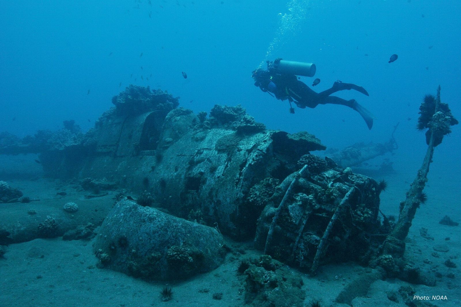 Diver NOAA